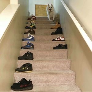 Meet your Posher, Jay